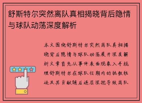 舒斯特尔突然离队真相揭晓背后隐情与球队动荡深度解析 舒斯特尔突然离队真相揭晓背后隐情与球队动荡深度解析